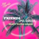 Friends feat Ashe Party Pupils Remix Single