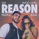 Reason Pirapus Remix Single