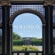 Solomon Single