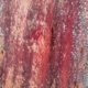 Rusty Dusty Single