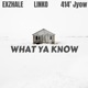 What Ya Know feat Linko 414 Jyow Single
