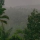 Raindance Single
