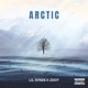 Arctic Single