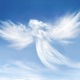 Angel Single
