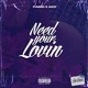 Need Your Lovin feat AKD Single