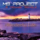 Wonderful Life Single