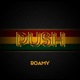 Push Single