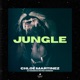 Jungle Extended Intro Version Single