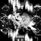 Flaws EP