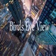 Birds Eye View Single