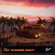 Hot Summer Night Single