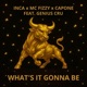 What s It Gonna Be feat Genius Cru Single
