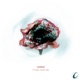 Clear Conceptions 26 Single