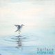 Surface Single