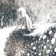Frostbite Numb Single