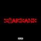 StarGang Vol 2 feat C3 RIZZO TuneetoTune Single