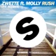 Rush feat Molly The Remixes Single