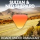 Roads Under Ramallah EP