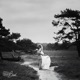 Love T M Lo Fi Edit Single
