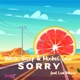 Sorry feat Michel Lara Leo Moura Single