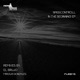 In the Beginning Single