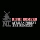 African Forest 2010 The Remixes Single