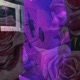 Roses and Violets EP
