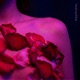 Boquita Rosa feat Robert Tiamo Single