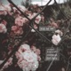 All of Me Single