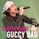 guccy bag Single
