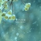 Winter II Largo After Violin Concerto in F Minor Op 8 No 4 RV 297 Arr for Piano by Patrick Hamilton Single