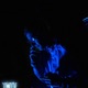Who you f n wiv feat Precious Single
