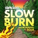 Slow Burn Single