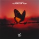 Echoes of You Single