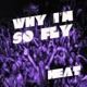 Why I m so Fly Single