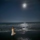 Celeste Single