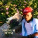 Maximum Bloom Single