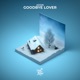 Goodbye Lover Single