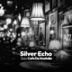 Silver Echo Single
