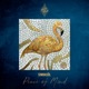Peace of Mind Single