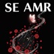 SE AMR Single