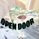 Open Door Single
