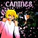 Canines Single