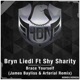 Brace Yourself James Bayliss Arterial Remix Remixes feat Shy Sharity Single