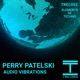 Audio Vibrations Single