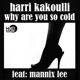 Why Are You So Cold feat Mannix Lee Single