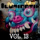 Vol 13