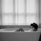 В ванной Single
