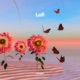 Lofi Single