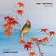 Nightingale Single